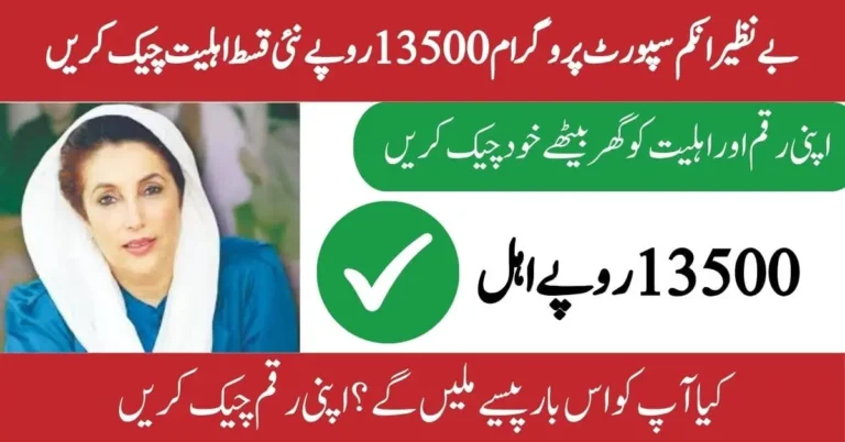 Benazir Income Support Payment Eligibility
