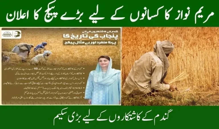 Kisan Card Wheat Support Program 2025