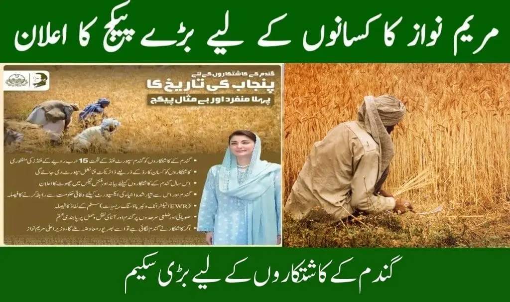 Kisan Card Wheat Support Program 2025
