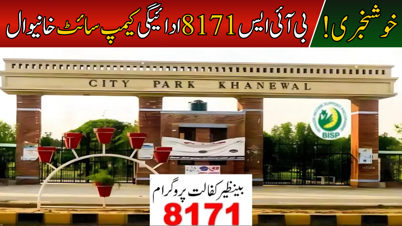 BISP 8171 Payment