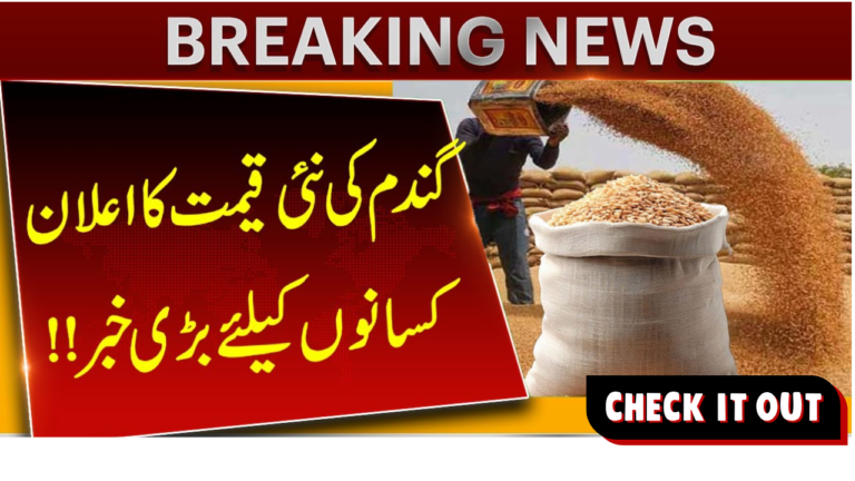 Wheat Price in Pakistan