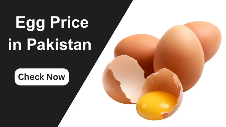 Egg Price Today in Pakistan