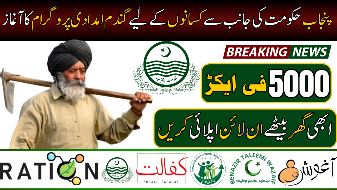 Punjab Wheat Support Program